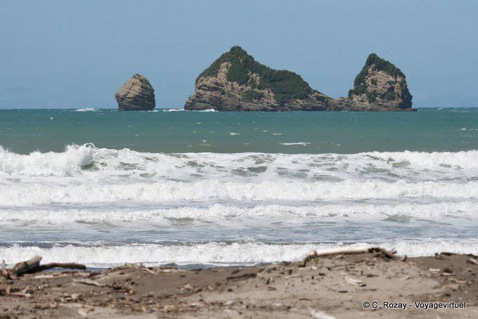 Motuoroi Insel Anaura Bay, Ostkap - Neuseeland