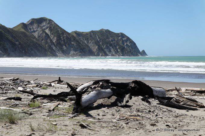 Strand und raue Meer, Anaura Bay, Ostkap - Neuseeland