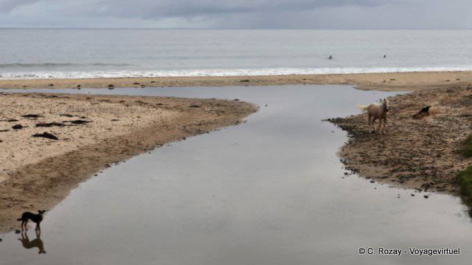 Te Rangiharu, Waihau Bay, Ostkap - Neuseeland
