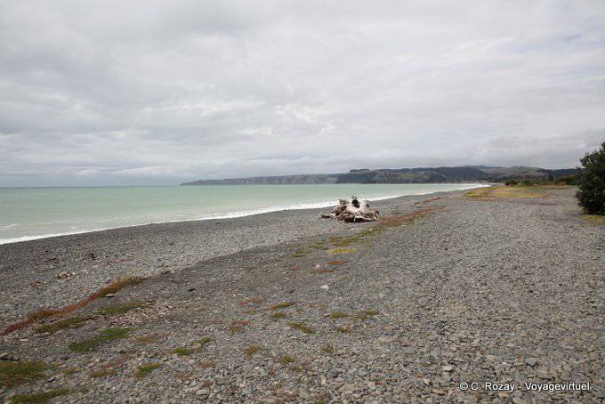 Strand an der Hawkes Bay, Napier, Ostküste - Neuseeland