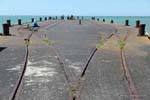 Bahnübergang auf dem Ponton, Anaura Bay, Ostkap, Neuseeland.