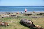Badende am Strand, Omaio, Ostkap, Neuseeland.
