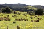 Te Araroa Road, Tikitiki, East Cape, Neuseeland.