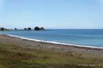 Bay of Plenty, in der Nähe von Te Kaha, Ostkap, Neuseeland.