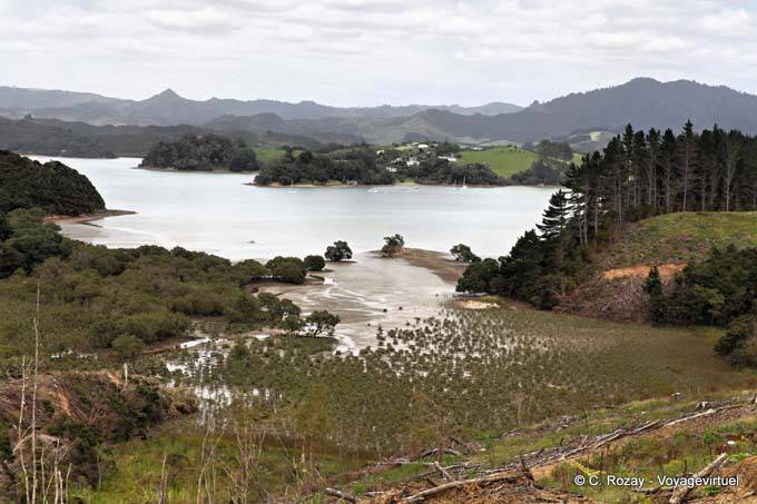 Te Waite Bucht, Bland Bay, Northland - Neuseeland