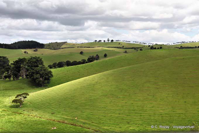 Landschaft Richtung Matapouri, Northland Matapourri - Neuseeland
