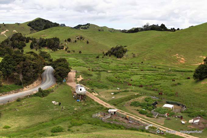 Auf dem Weg in Tutukaka, Matapourri, Northland - Neuseeland