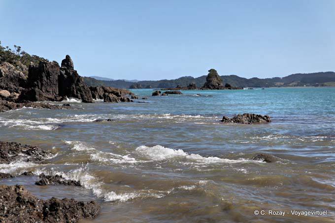 Whitikau Felsen, Oakura Bay, Northland - Neuseeland