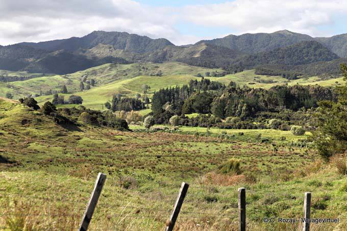 Road Oponomi Paihia, Northland - Neuseeland