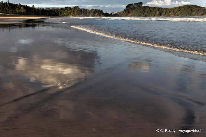 Reflexionen über den Strand, Whananaki, Northland - Neuseeland