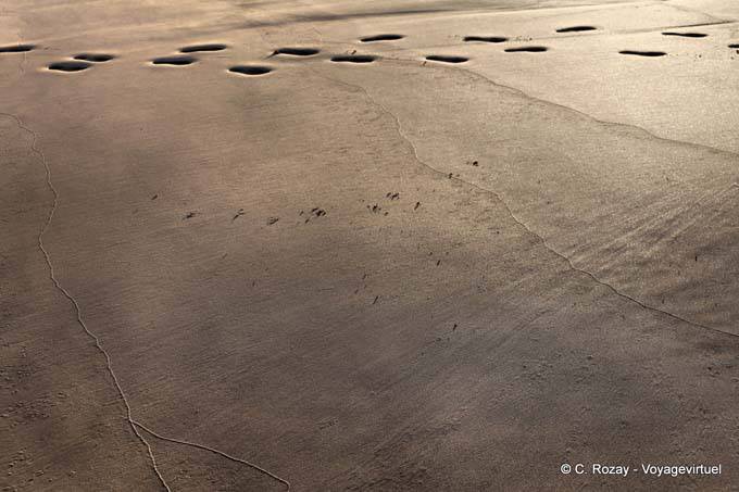 Schritte im Sand Sandy Bay, Whananaki, Northland - Neuseeland