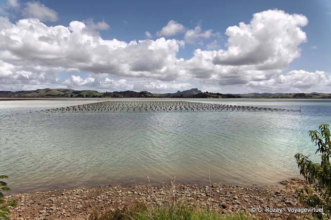 Fischerei, Whangaroa, Northland - Neuseeland