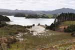 Te Waite Bucht, Bland Bay, Northland, Neuseeland.