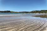 Schöne Südosten Strand Oakura Bay, Northland, Neuseeland.