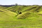 Oakura Road to Bland Bay, Northland, Neuseeland.