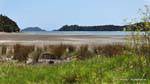 Bland Bay Road to Russell, Northland, Neuseeland.