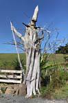 Verzauberte Baum Cape Rodney, Northland, Neuseeland.
