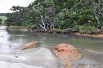 River Inlet, Whananaki, Northland, Neuseeland.