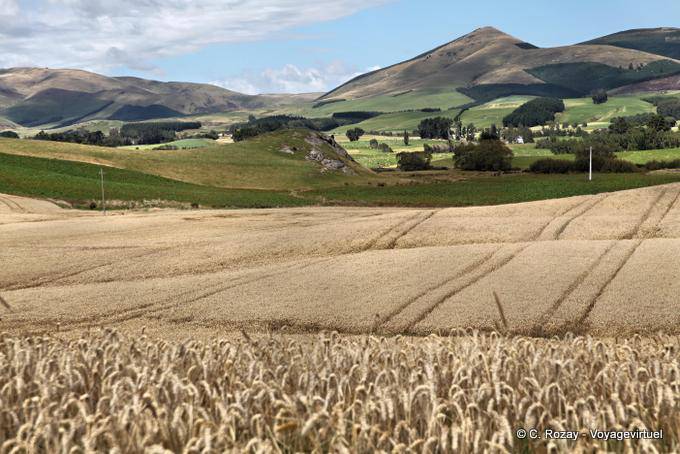 Clinton, Otago - Neuseeland
