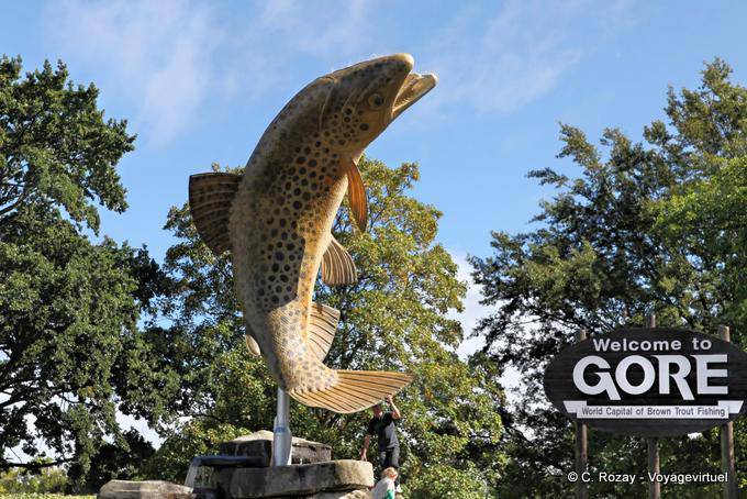 Gore Brown Fischen-Loch, Otago - Neuseeland