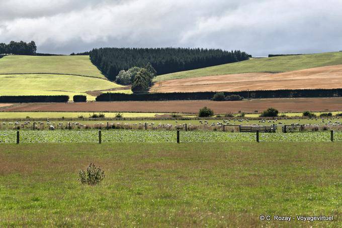 Lumsden Lichter, Otago - Neuseeland