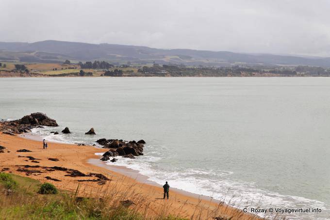 Landschaft, Moeraki, Otago - Neuseeland