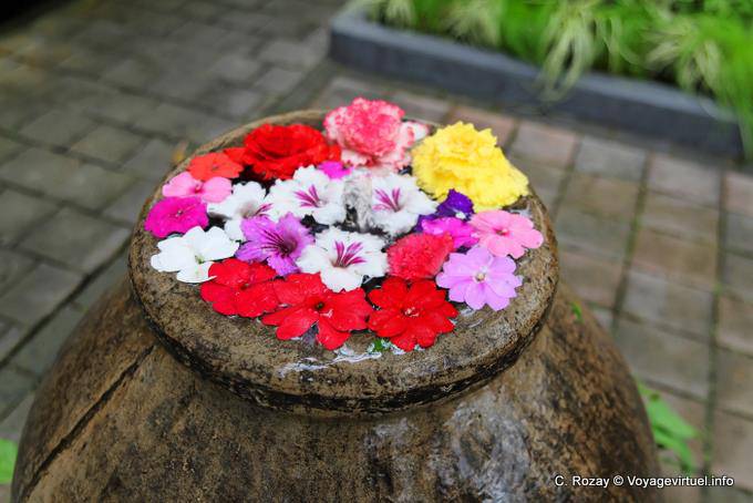 Schnittblumen, Oamaru, Otago - Neuseeland