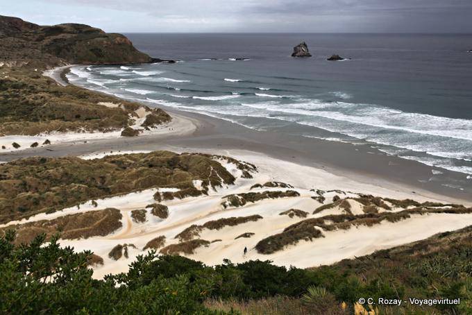 Otago Peninsula Dunedin Sandfly Bay - Neuseeland