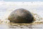 Moeraki Boulders Scenic Reserve, Otago, Neuseeland.