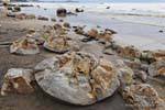 Explosions Ball, Moeraki Boulders Scenic Reserve, Otago, Neuseeland.
