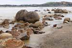 Paar Bälle, Moeraki Boulders Scenic Reserve, Otago, Neuseeland.