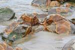 Farbige Formen, Moeraki Boulders Scenic Reserve, Otago, Neuseeland.