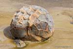 Ball-Herz, Moeraki Boulders Scenic Reserve, Otago, Neuseeland.