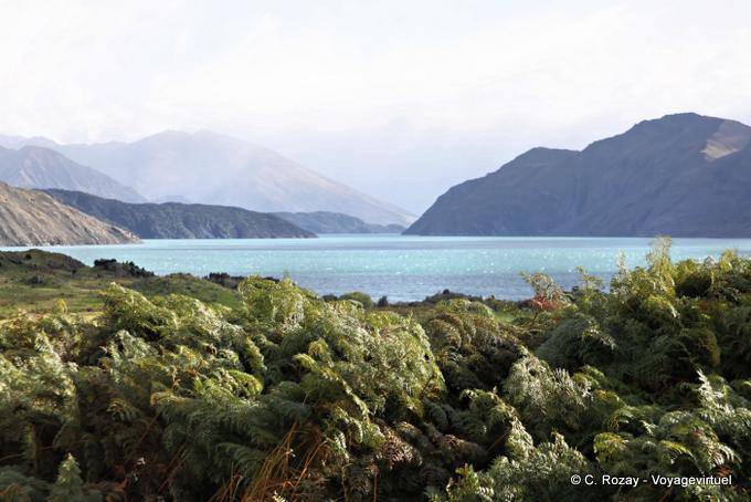 Farben auf dem See, Lake Wanaka, Southland - Neuseeland