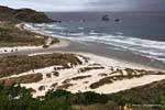 Otago Peninsula Dunedin Sandfly Bay, Neuseeland.