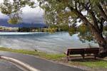 Bank unter einem Baum, Queenstown Lake Wakatipu, Southland, Neuseeland.