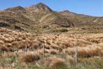 Lande grasbewachsenen Straße von Te Anau nach Lumsden, Southland, Neuseeland.