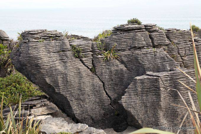 Neugierig Kalkstein von Pancake Rocks, Punakaiki, Westküste - Neuseeland