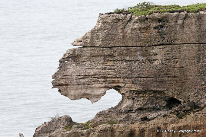 Erosion Kalkstein, Punakaiki, Westküste - Neuseeland