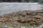 Rocks und Schmelzwasser, Fox-Gletscher, Westküste, Neuseeland.