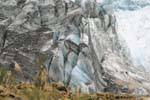 Ice Melodie Südalpen in Neuseeland, Fox-Gletscher, Westküste, Neuseeland.