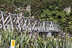 Paparoa Park, Fox River, Westcoast, Neuseeland.