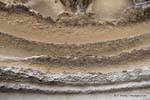 Erstaunliche natürliche Skulptur durch Erosion, Paparoa Park, Truman Bahn, Westküste, Neuseeland.