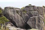 Neugierig Kalkstein von Pancake Rocks, Punakaiki, Westküste, Neuseeland.