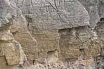 Schichten von Pancake Rocks, Punakaiki, Westküste, Neuseeland.