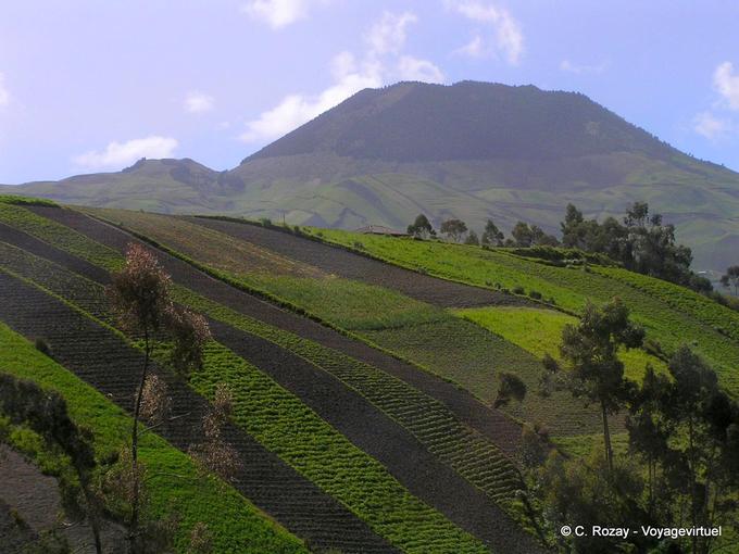 On the Quito's road, région volcanique vers Ambato, Ecuador