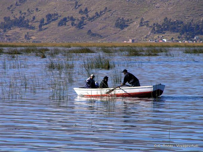 Zwischen dem Schilf aus Puno, Titicaca-See -Peru