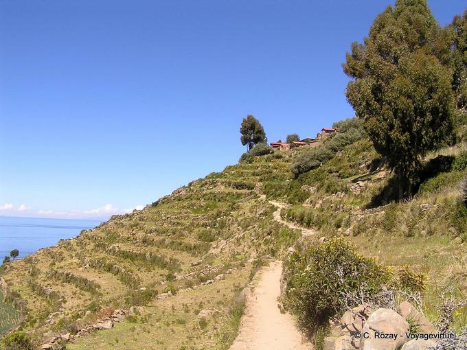 Pfad zwischen landwirtschaftlichen Terrassen auf einem Hügel, Isla Taquile, Titicaca -Peru