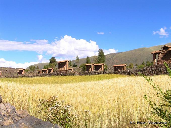 Raq'chi Wiracocha Tempel und Quinoa -Peru