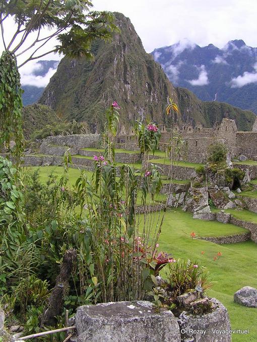 Reste von Gebäuden in einer ländlichen Umgebung, Machu Picchu -Peru